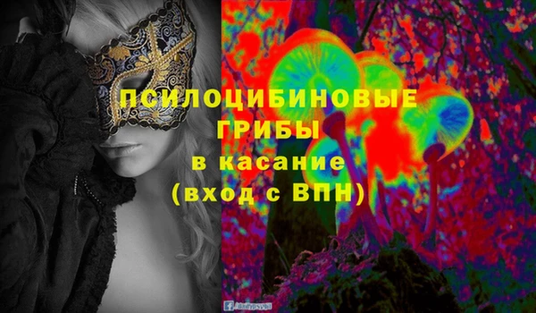 крисы Абаза