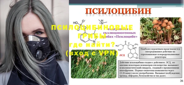 крисы Абаза