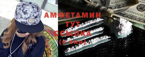 крисы Абаза
