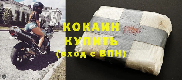 крисы Абаза