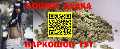 мдпв Дубна