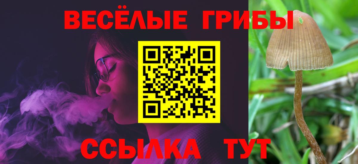 Псилоцибиновые грибы MAGIC MUSHROOMS Новотроицк